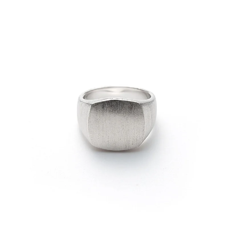 The Perfect Jewelry Piece At The Perfect Discount Hope Signet Brushed Silver Ring
