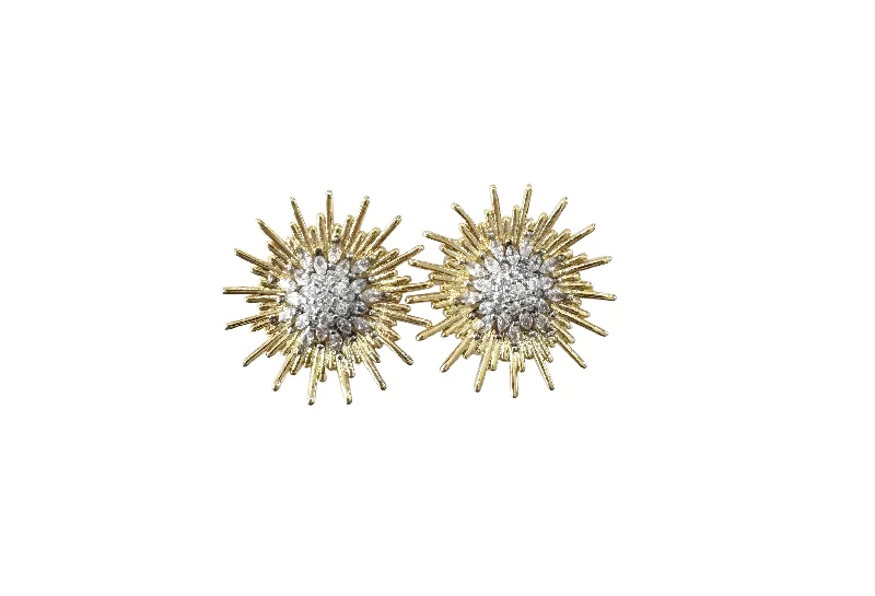 Premium Jewelry, Premium Discounts – Act Fast Radiance Earring